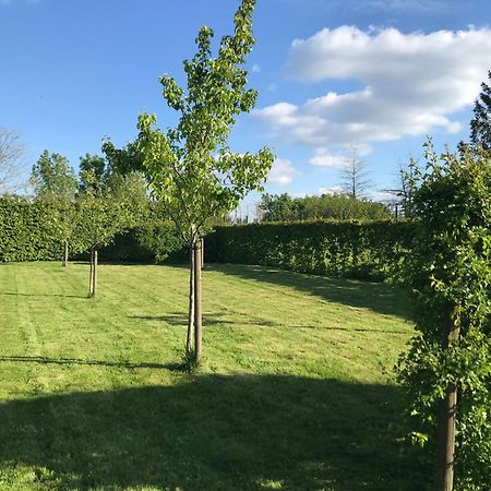 The Suite Escape Suite Wood Sint-Lievens-Houtem Exterior foto