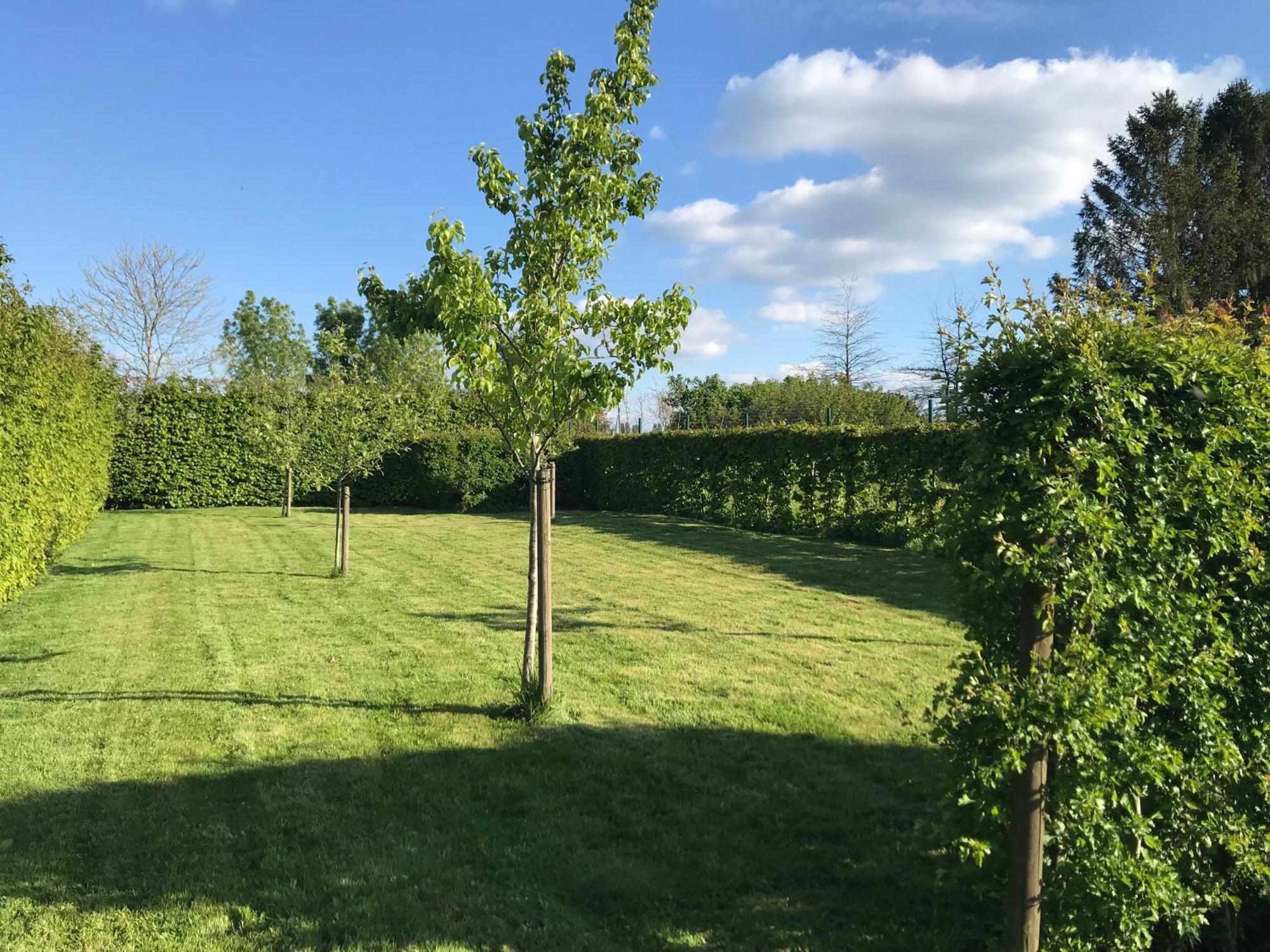 The Suite Escape Suite Wood Sint-Lievens-Houtem Exterior foto